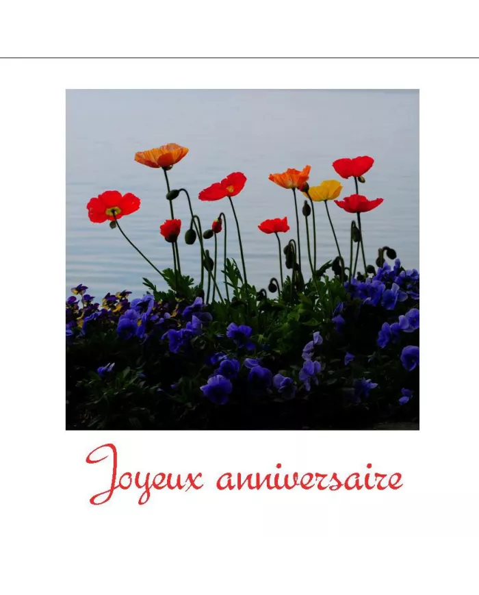 carte anniversaire homme - loisirs créatifs divers