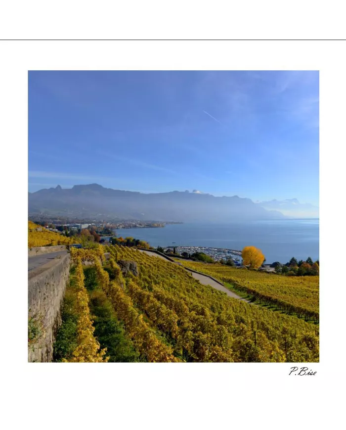 Carte C15 Lavaux N°4201