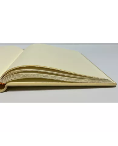 Livre d'or 20cm x 25cm beige