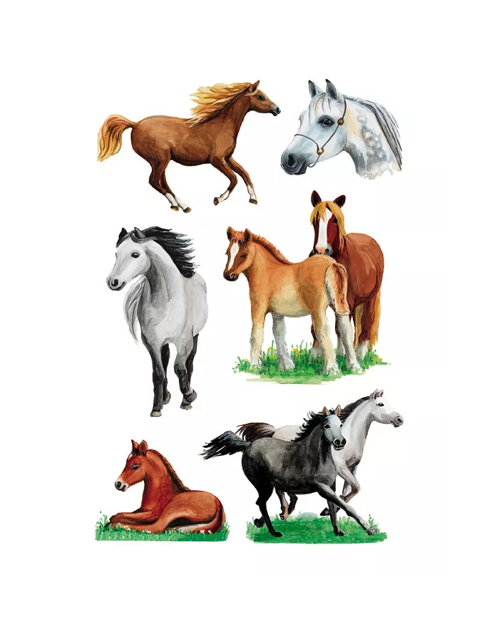 Stickers Herma Chevaux