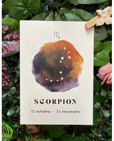 Carte A6 - Astrologie Scorpion